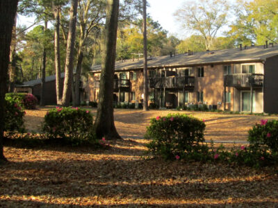 Mossy Oaks Village